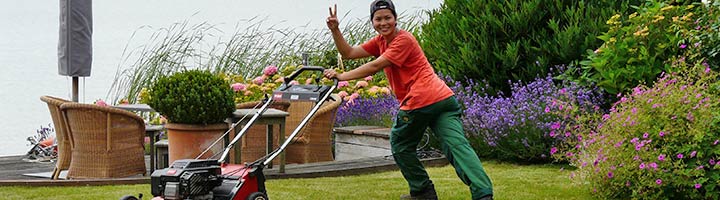 tuinonderhoud